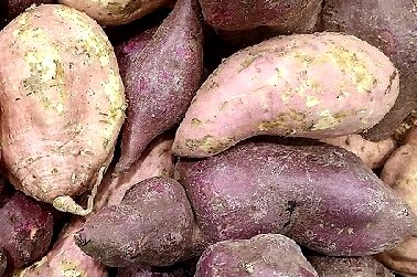 Red and White Sweet Potatoes